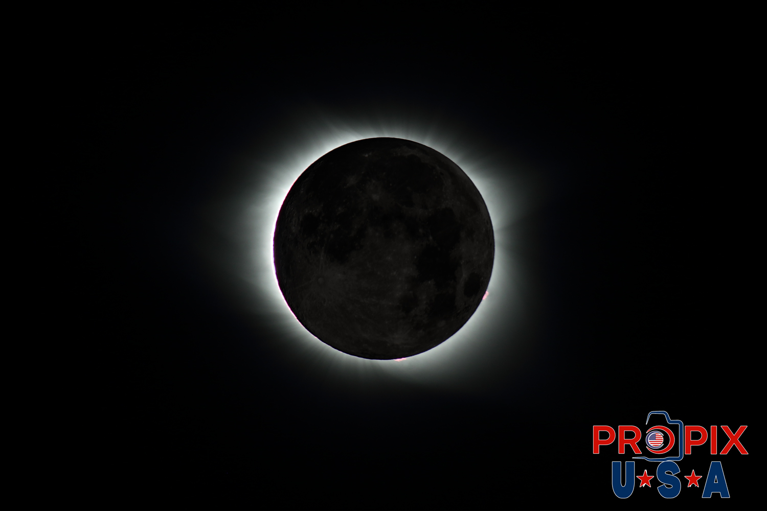 What you could see if..! Solar Eclipse as seen from South Carolina 8-27-2017 showing the coronal mass and some solar flares are visible. If you could see the face of the moon during an eclipse, this is probably what it would look like.