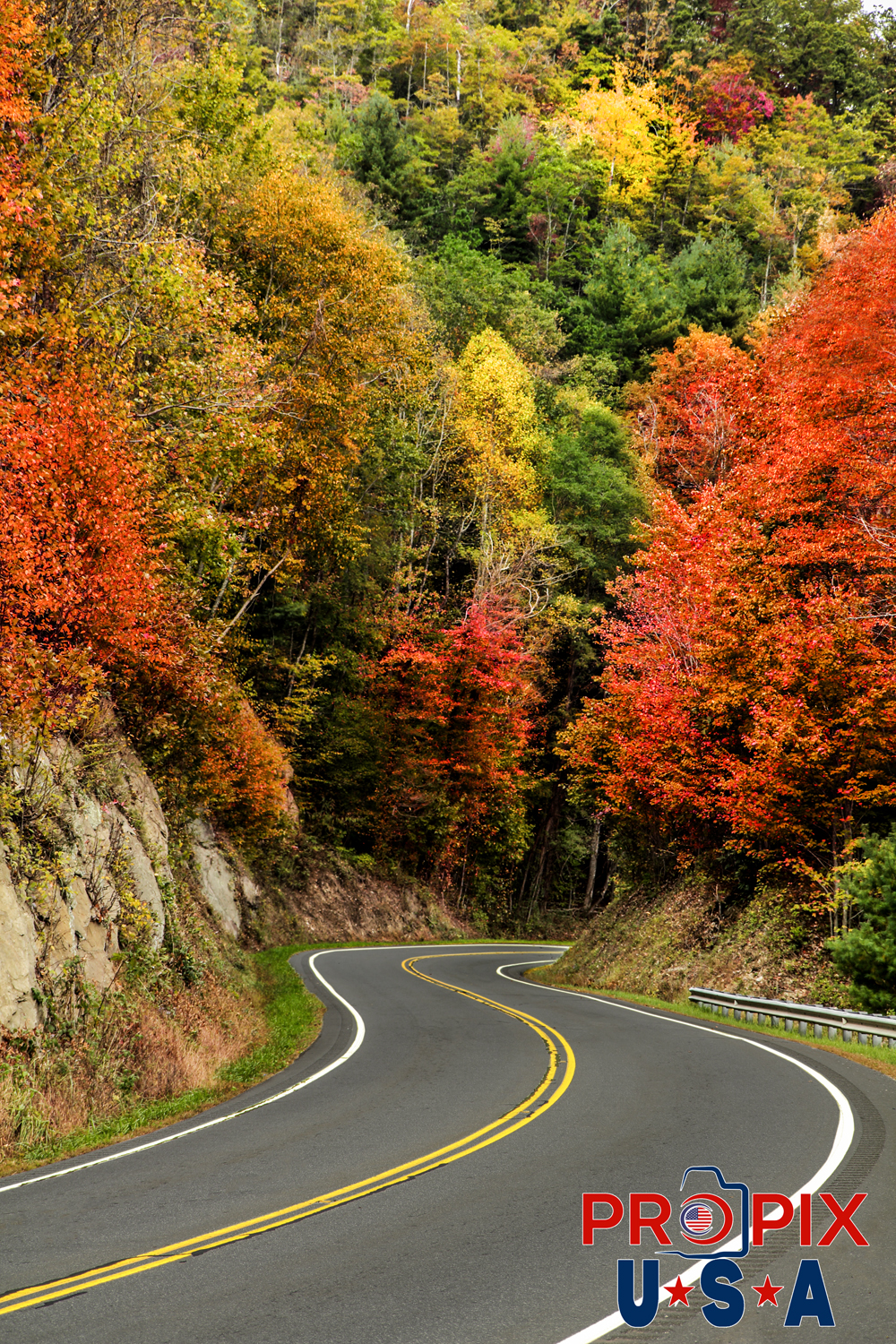 Why God made convertible Ferraris..! Windy road in the mountains of North Carolina