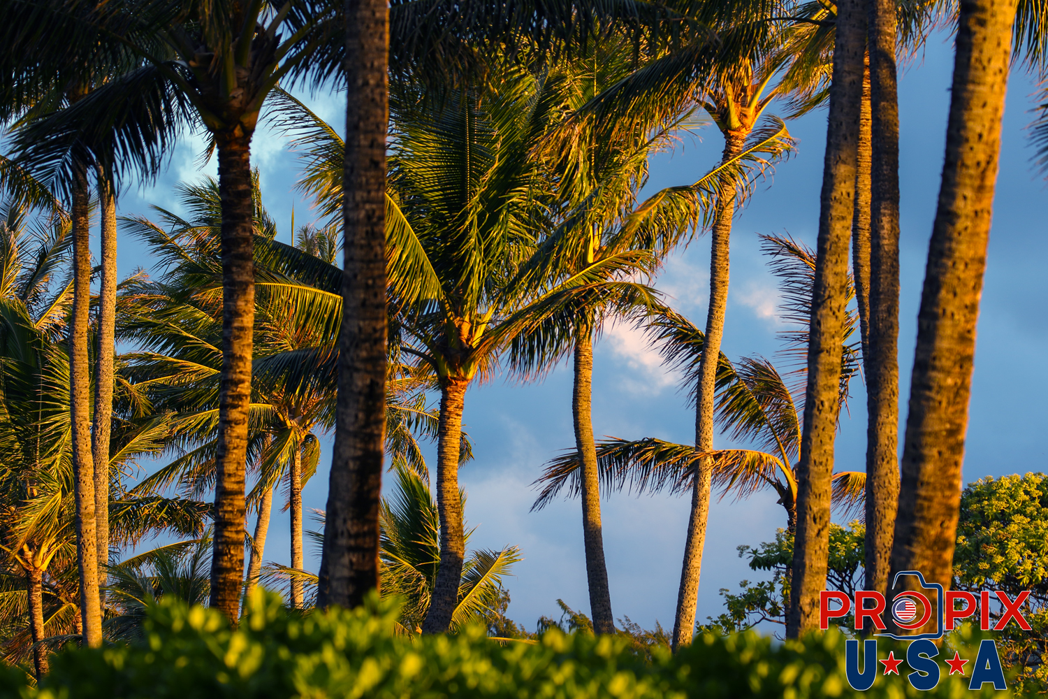 Sunrise near Kailua beach on Oahu Hawaii.