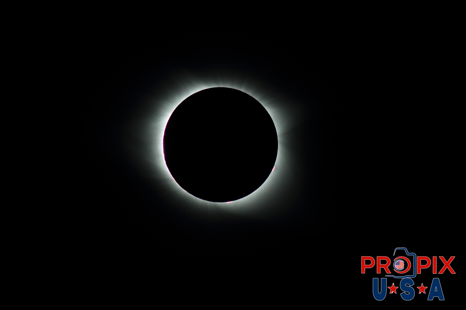 Solar Eclipse as seen from South Carolina 8-27-2017 showing the coronal mass and some solar flares are visible.