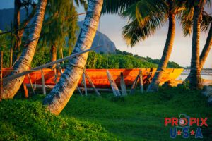 If they build it, they will go..! A wooden outrigger canoe was under construction just to the North of Kaneohe Oahu Hawaii. The tools being used to make this style of canoe were all hand tools, as they were strewn inside the boat. The manufacturing style is one that has ben passed down through the generations. As the morning sun rose on this canoe, the tropical colors were coming to life as a beautiful arrangement. This image was taken in the 1990's with a film camera.