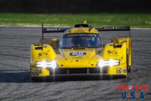 Sun in the eyes... The eyes of this Porsche prototype driver's eyes are transfixed on the next challenges facing him at the 2024 Rolex 24 hours at Daytona.
