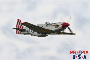 N51MX 1945 P-51 Mustang (Mad Max) Aircraft code: P51 Airport code(s): BQK, KBQK Photo date: 5-18-2025