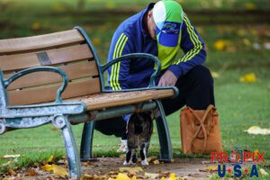 A young homeless cat approaches a man from under the relative safety of a park bench to find food, treats and affection. Photo date: 6-26-2025