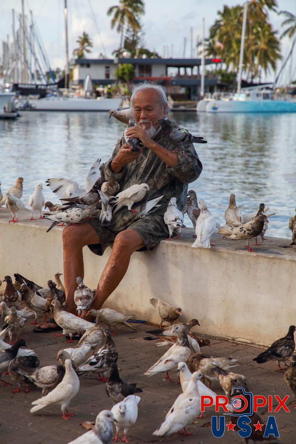 A shared bond between the gentle man and some local pigeons is clear, as he strokes the back of one bird as several others fend for his attention. This scene was a daily ritual along the sea wall, near the Hawaii yacht club in Honolulu Hawaii. Photo date: 6-26-2025