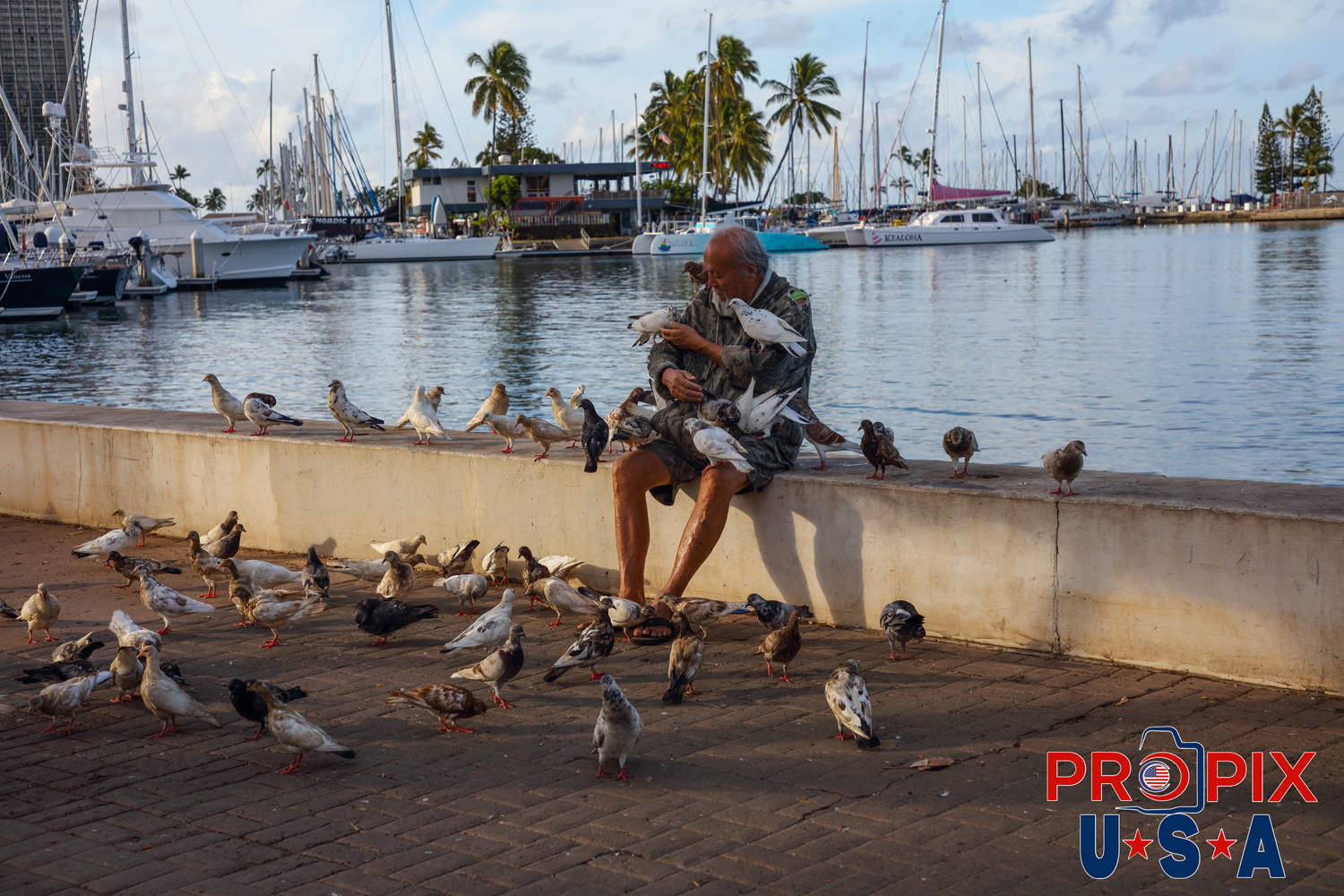A local man enjoys the company of some pigeons along the sea wall in front of the Hawaii Yacht club. Photo date: 6-26-2025
