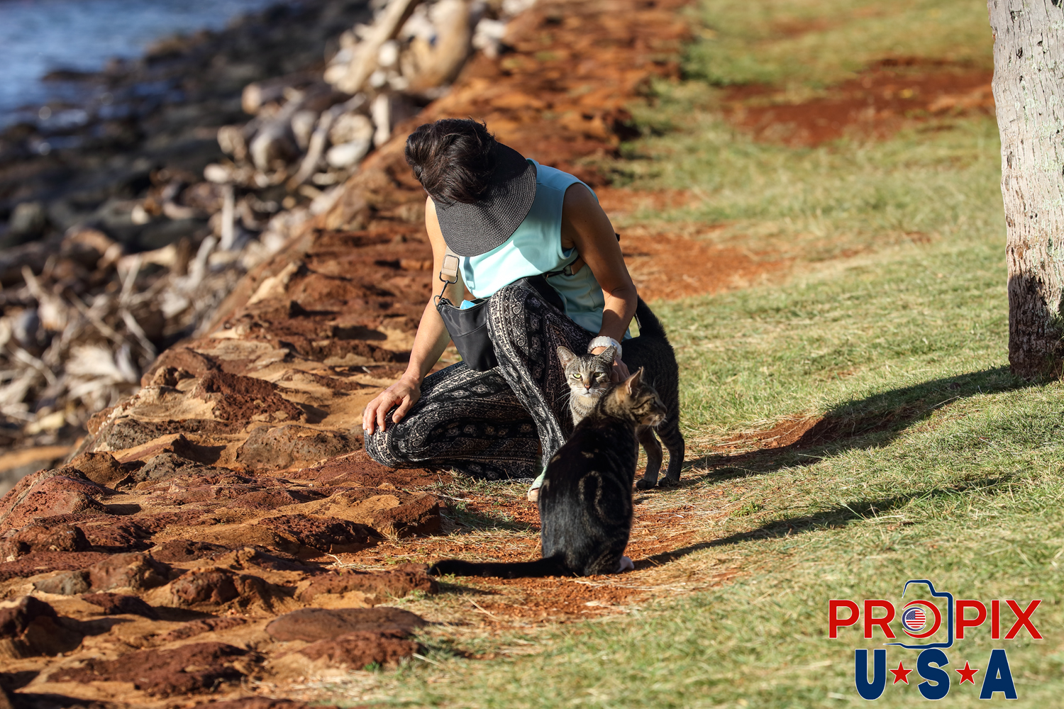 A couple homeless cats enjoy the attention of a woman visiting the Ala Moana park in Honolulu Hawaii. Photo date: 6-27-2025