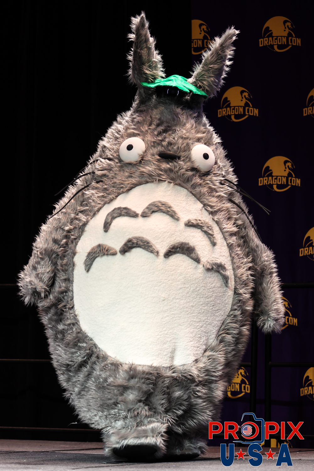 Dragon Con Masquerade contestant 2025. Photo date: 8-31-2025 Dragoncon