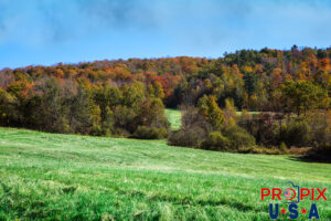 Farm fields in Maine during fall. Photo date: 10-11-2025