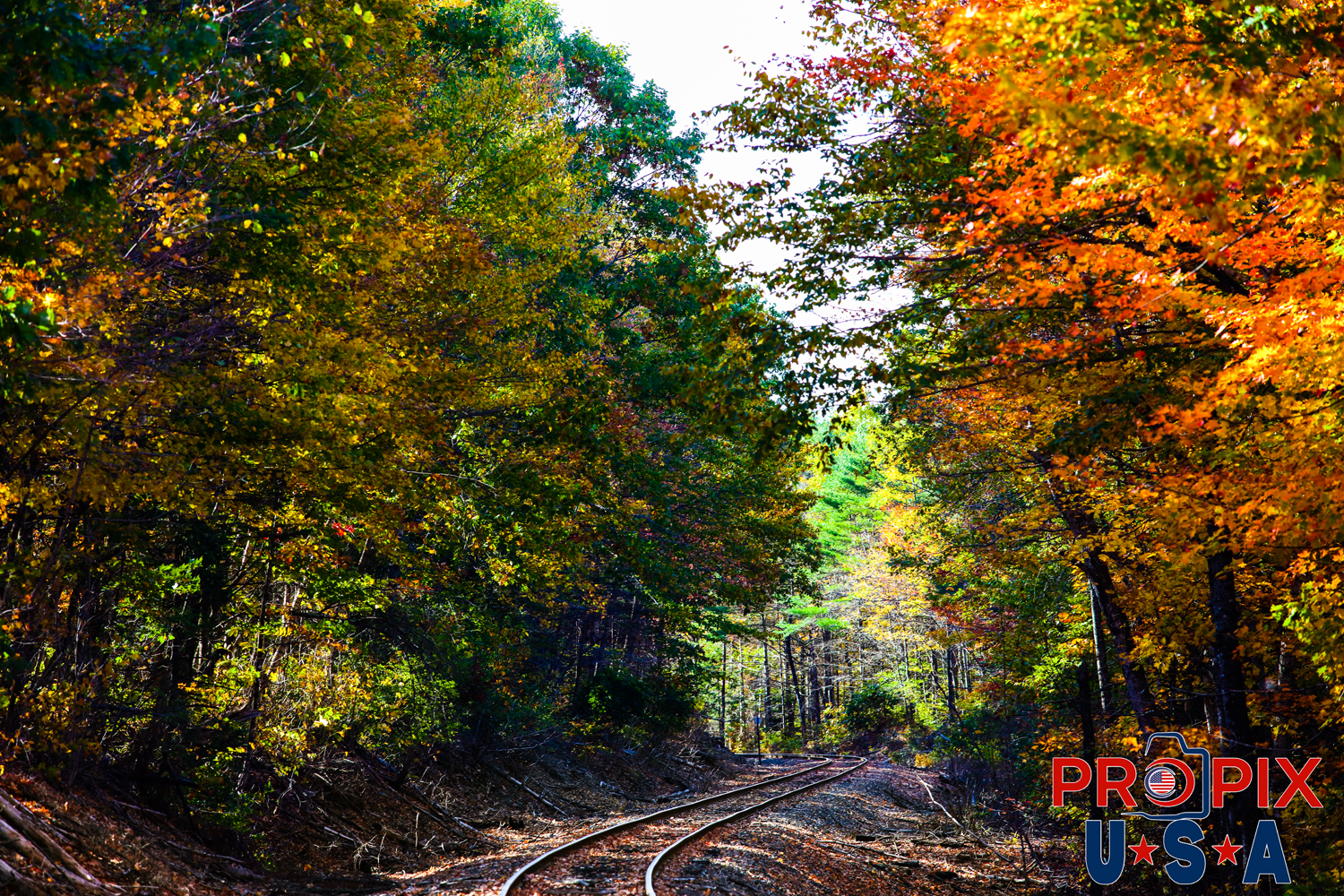 Railroad tracks in Maine surrounded by fall colors. Photo date: 10-12-2025