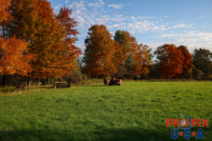 Autumn in Maine Photo date: 9-30-2025