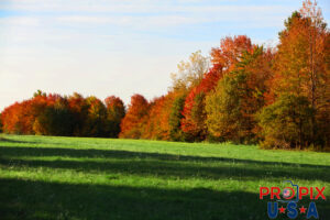Autumn colors in Maine Photo date: 9-30-2025