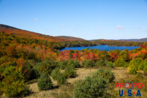 Autumn in Maine with leaves in full color Photo date: 9-30-2025