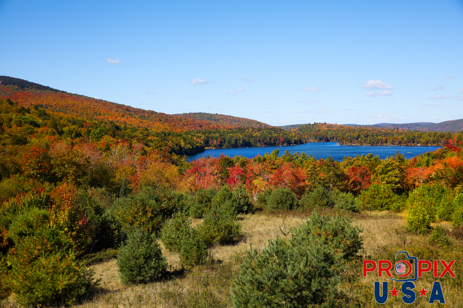 Autumn in Maine with leaves in full color Photo date: 9-30-2025