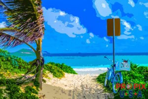 Hawaiian Office Parking Kailua Beach Oahu art rendering