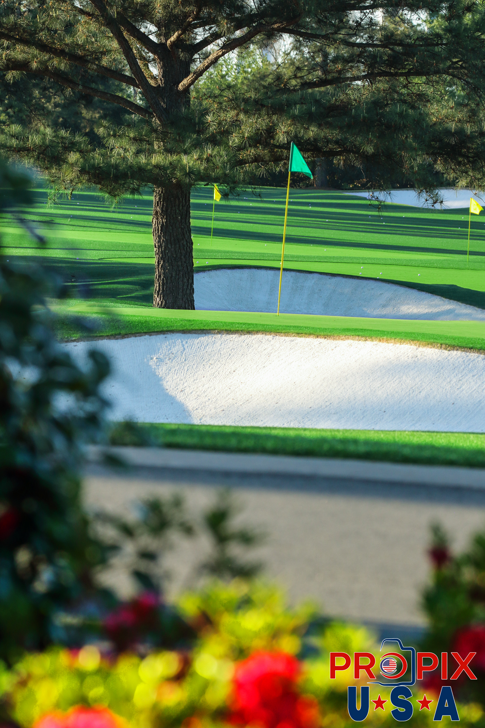 Azaleas in foreground at the Practice Range at Augusta National Golf club, site of the Masters tournament. Photo date: 4-4-2017